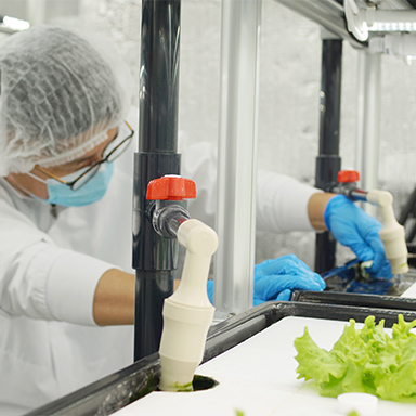 微笑む作業スタッフ