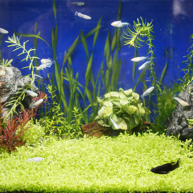 男女のスタッフ